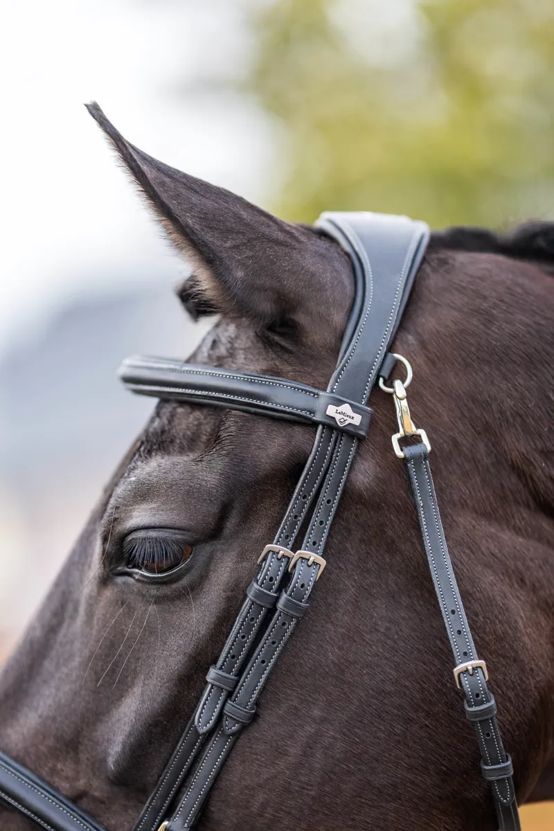 LeMieux Kudos Work Bridle in Black-1